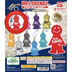 MR.FRIENDLY ミスター フレンド ガチャガチャ コンプ MR.FRIENDLY（ミスターフレンドリー） めじるしアクセサリー