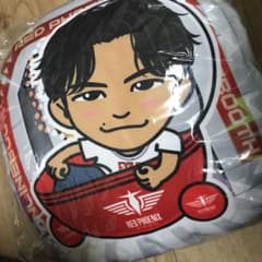 NAOTO YWA クッション レア