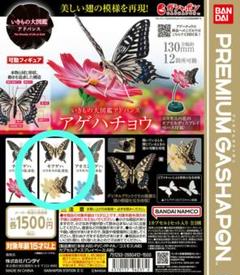 いきもの大図鑑アドバンス アゲハチョウ ディスプレイスタンド