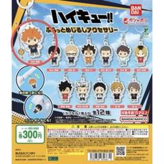 ハイキュー‼︎ ふらっとめじるしアクセサリー - メルカリ