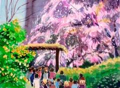 しだれ桜(六義園)水彩画 木製フレーム付き しだれ桜(六義園)水彩画 木製フレーム付き - メルカリ
