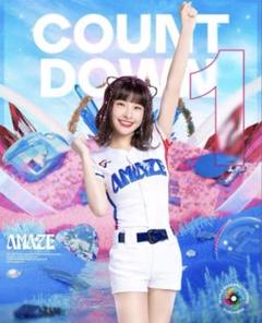 安価 WBC 峮峮 チュンチュン ユニフォーム L <おまけ付き> - メルカリ 応援グッズ