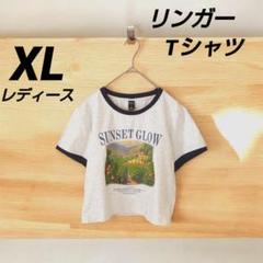 リンガーTシャツ レディースXLサイズ 短め丈 グレー ネイビー Dazy