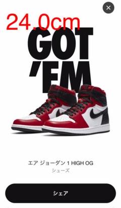 りゅうた様専用/NIKE AIR JORDAN 1