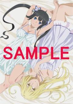 * ヘスティア アイズ B1タペストリー BD/DVD 全巻購入特典 ダンまち