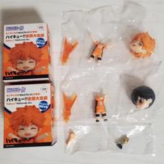 ハイキュー!! ねんどろいどさぷらいず アニメイト限定 日向翔陽 影山飛雄