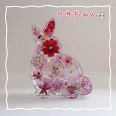 うさぎのペン立て No.1991 固まるハーバリウム うさぎのペン立て No.1980 固まるハーバリウム - メルカリ