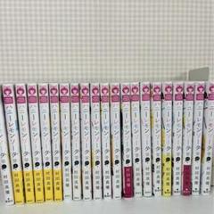 少女漫画　まとめ売り　24作品　191冊 少女漫画 まとめ売り 24作品 191冊
