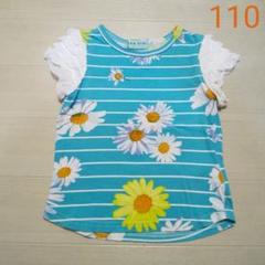 ハッカ 110 花柄ボーダーカットソー