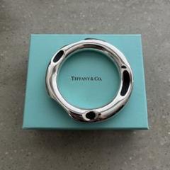 Tiffany ティファニー フランク ゲーリー バングル ブレスレット