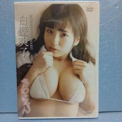 白壁爽子/アイドルワン 白壁爽子「さわにゃん」未開封新品