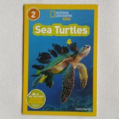 Sea Turtles - National Geographic Kids 2