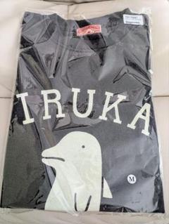 panpanya 昔のIRUKA Tシャツ M - メルカリ