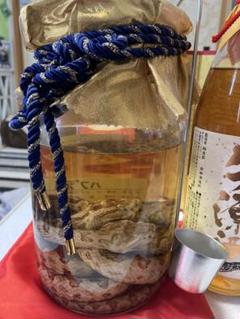 ハブ酒 夫婦ハブ 1.４リットル 楽天市場】南都酒造 夫婦 ハブ入り ハブ酒 35度 1.4L 泡盛ベース