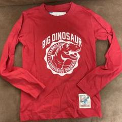 BIG DINOSAUR 長袖Tシャツ 130 恐竜