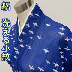 未着用小紋夏用絽洗える着物蝶撫子竹筋斜め縞着物054a d