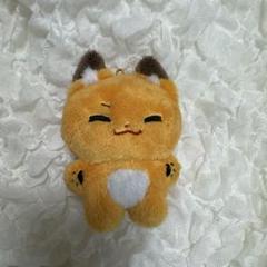 ZB1 zerobaseone ゼベワン マシュー ぬいぐるみ 10cm ファッション 通販 ZEROBASEONE Amazon.co.jp: ZB1 ぬいぐるみ