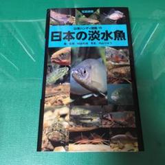 日本の淡水魚 : 写真検索