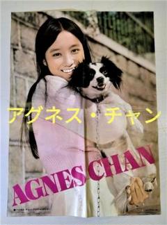 アグネス・チャンさんポスター　レコード販促用非売品　中古6枚　程度ばらつき有り アグネス・チャンさんポスター レコード販促用非売品 中古6枚