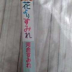 河合すみれ 花よりすみれの中古 未使用品 メルカリ