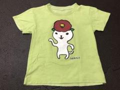 つばきねこ　Tシャツ