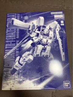 新品未開封 MG ヘイズル・アウスラ 新品未開封】MG 1/100 ガンダムTR-1［ヘイズル・アウスラ］