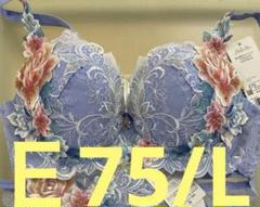 サルート 09グループ⭐️店舗限定⭐️pu⭐️E75/L⭐️新品タグ