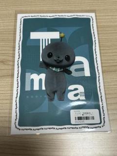 教育番組 タマ ぬいぐるみ ポストカード付き お知らせ】商品化が決定いたしました！！ - CAMPFIRE (キャンプ