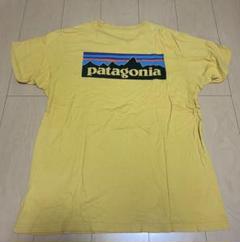 patagonia パタゴニア　半袖Tシャツ　L
