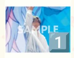 にしきくん Whiteout ブロマイド×18枚セット にしきくん Whiteout ブロマイド×18枚セット - メルカリ
