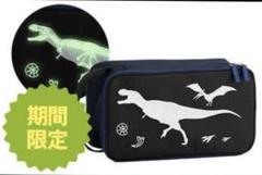 進研ゼミ 光る!恐竜シューズケース 期間限定