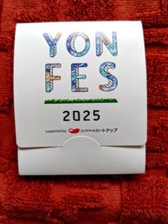 ヨンフェス　2025 BIGキーホルダー　非売品 2025年最新】ヨンフェスの人気アイテム - メルカリ
