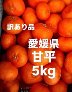 k-kanpei-s2.jpg
