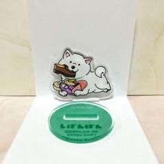 しばんばん アクリル スタンド　【ノベルティステッカー付き】