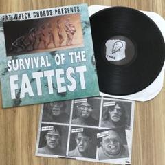 FAT WRECK LP レコード メロコア スカコア パンク オムニバス