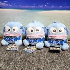 いっしょに推し活！ ちょいデカ マスコット ぬいぐるみ　ハンギョドン　3個 サンリオキャラクターズ いっしょに推し活！ちょいデカ