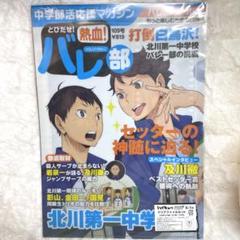 ハイキュー 影山飛雄 及川徹 岩泉一 10点セット m21250282155_1.jpg?1725192712