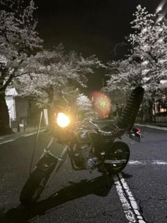 エイプ　茶　ツートン　４０ｃｍ　三段シート/ブラウン APE キャブ車 エイプ 茶 ツートン 40cm 三段シート/ブラウン APE キャブ車