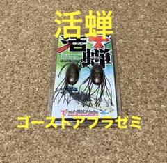ジャッカル　JACKALL【活蝉　ゴーストアブラゼミ】のサムネイル