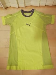 a2【激安送料込み】新品 PUMA(プーマ)TシャツMサイズ