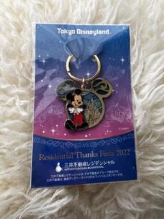 【新品未開封】非売品Tokyo Disneyland ミッキー キーホルダーのサムネイル