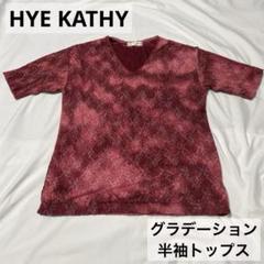 HYEKATHY グラデーション トップス チュニック 刺繍 透け防止 V