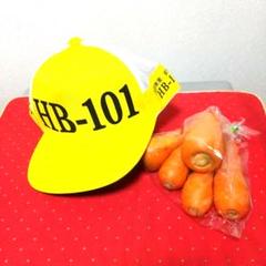hb101 キャップ　20個 hb101 キャップ20個