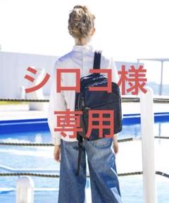 ☆極美品☆ラシット 大容量！PCバックパック
