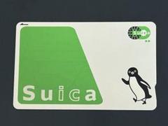 PASMO Suica 無記名 新品 印字履歴なし JR 味わい
