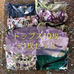 新品タグ付 10点セット トップス Tシャツ ブラウス チュニック まとめ売り