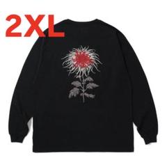 07ccd2506c166eb4b803ebd56b9a8f