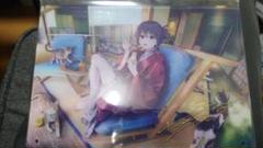 c105 ぽんかん⑧ vividcolor サイン入りアクリルボードセット C105 vividcolor ぽんかん⑧ 直筆サイン入り アクリルボード