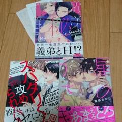 義弟に秘密がありまして / 平眞ミツナガ