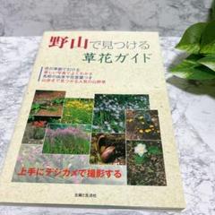 人気商品✨　野山で見つける　草花ガイド　花の季節　名前の由来　花言葉付き　山野草